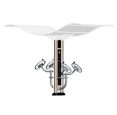 双柱腰腹训练器(图4)