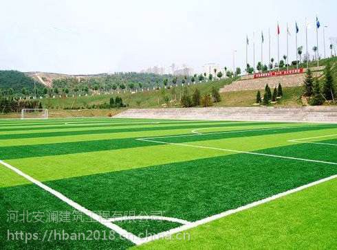 河北安澜承接塑胶跑道 跑道(图6) 河北安澜承接塑胶跑道 跑道(图6)