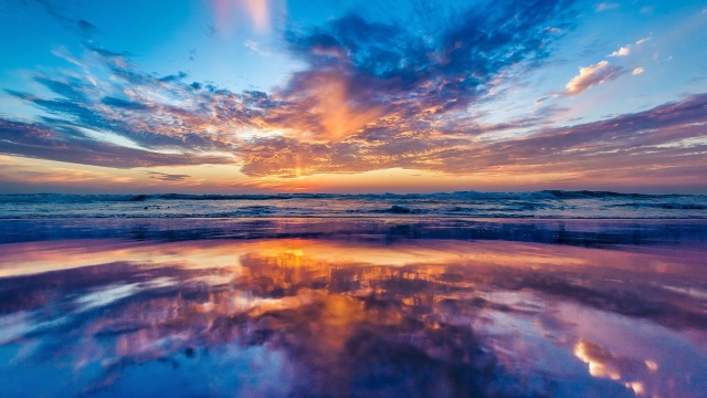 乐鱼体育leyu官网有训练器材的篮球馆