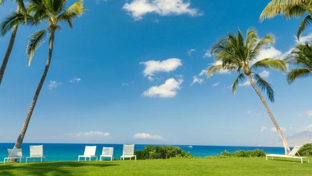 乐鱼体育官方网页版家用足球运动器材